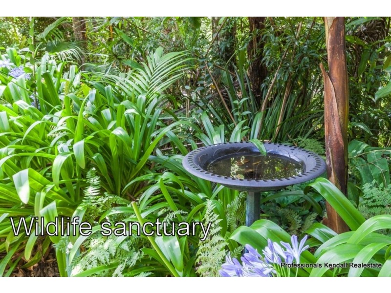 98 Geissmann Drive, Tamborine Mountain QLD 4272