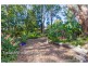 19 Tolima Drive, Tamborine Mountain QLD 4272