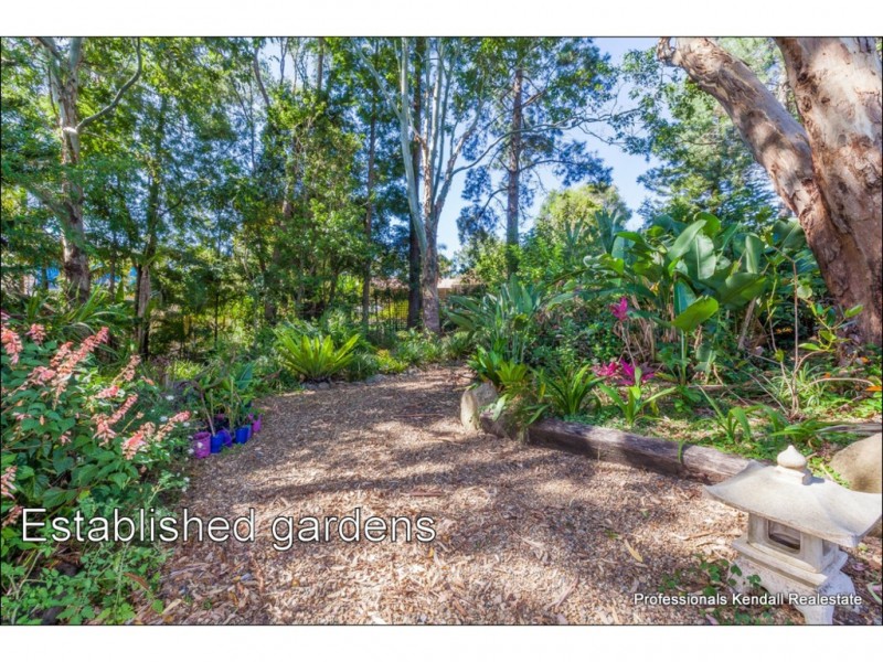 19 Tolima Drive, Tamborine Mountain QLD 4272