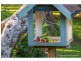 362 Main Western Road, Tamborine Mountain QLD 4272