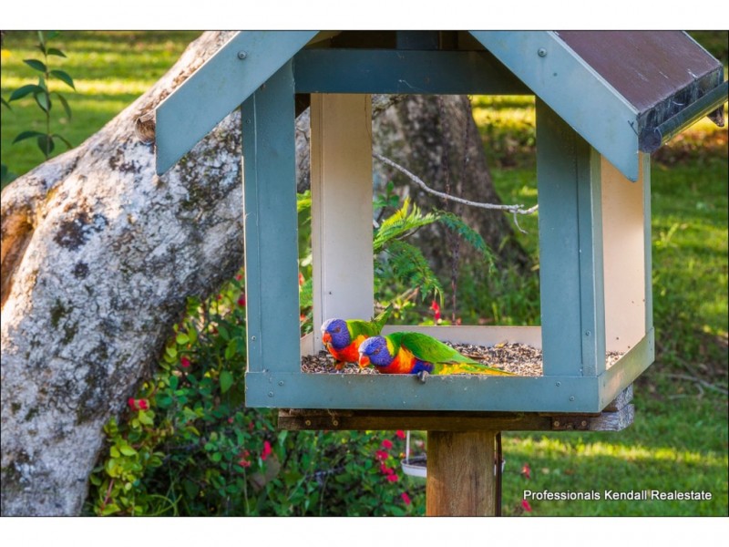 362 Main Western Road, Tamborine Mountain QLD 4272
