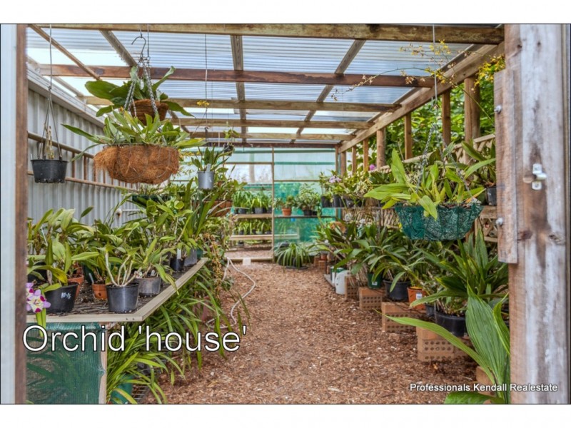 53-55 Kootenai Drive, Tamborine Mountain QLD 4272