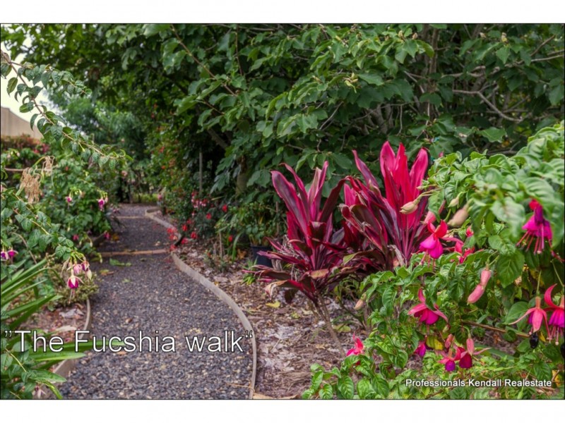 53-55 Kootenai Drive, Tamborine Mountain QLD 4272