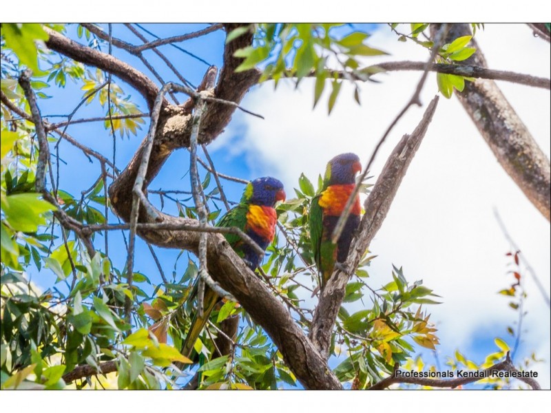 5-7 Boise Court, Tamborine Mountain QLD 4272