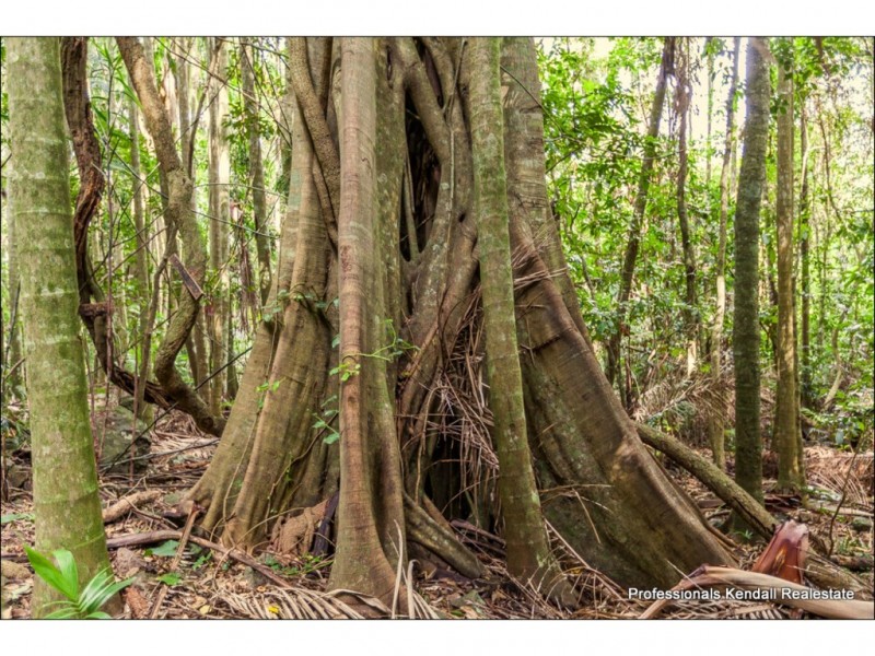 Lot 1/163 Curtis Road, Tamborine Mountain QLD 4272