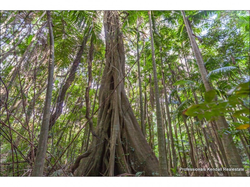 Lot 1/163 Curtis Road, Tamborine Mountain QLD 4272