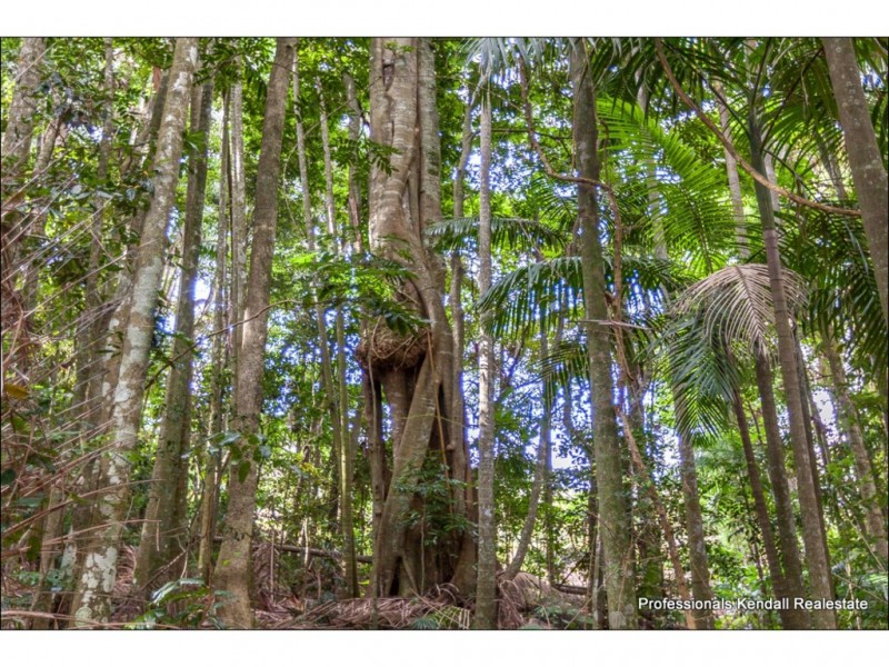 Lot 1/163 Curtis Road, Tamborine Mountain QLD 4272