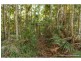 Lot 1/163 Curtis Road, Tamborine Mountain QLD 4272