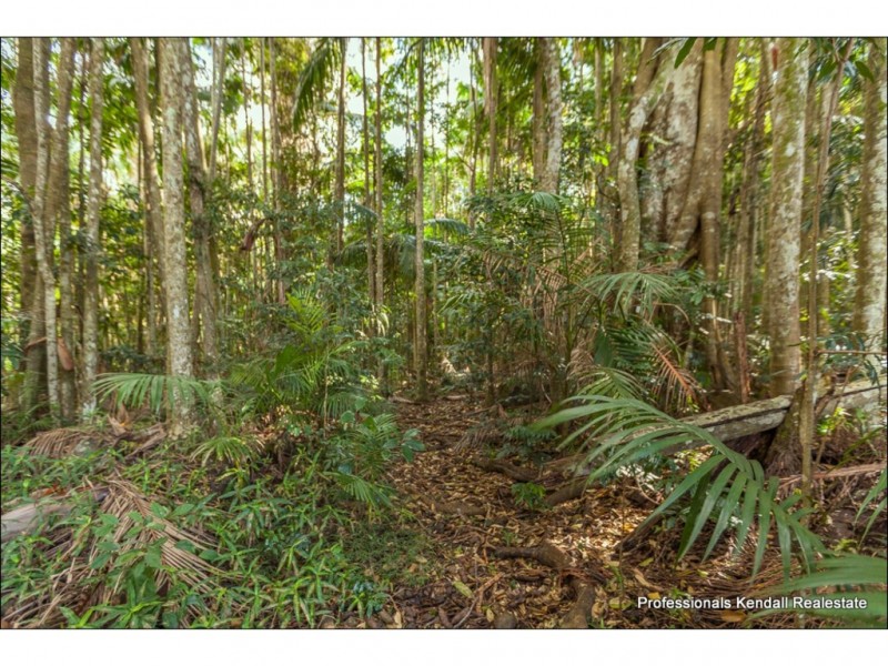 Lot 1/163 Curtis Road, Tamborine Mountain QLD 4272