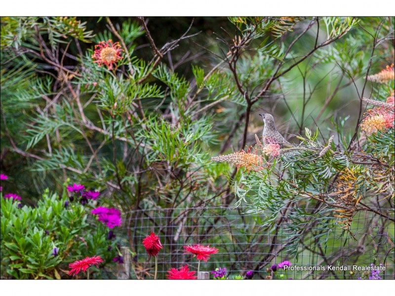 61 North Street, Tamborine Mountain QLD 4272