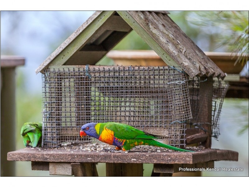 61 North Street, Tamborine Mountain QLD 4272