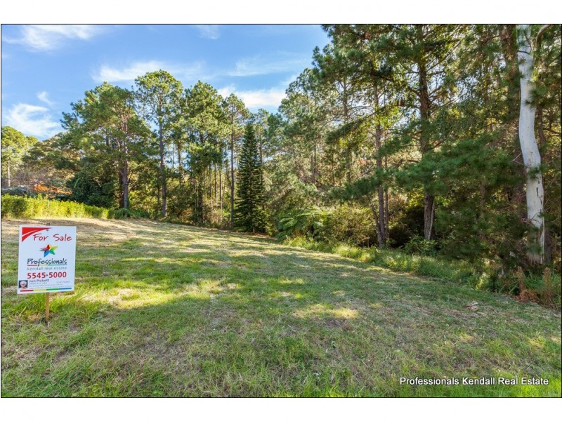 12 Demavend Drive, Tamborine Mountain QLD 4272