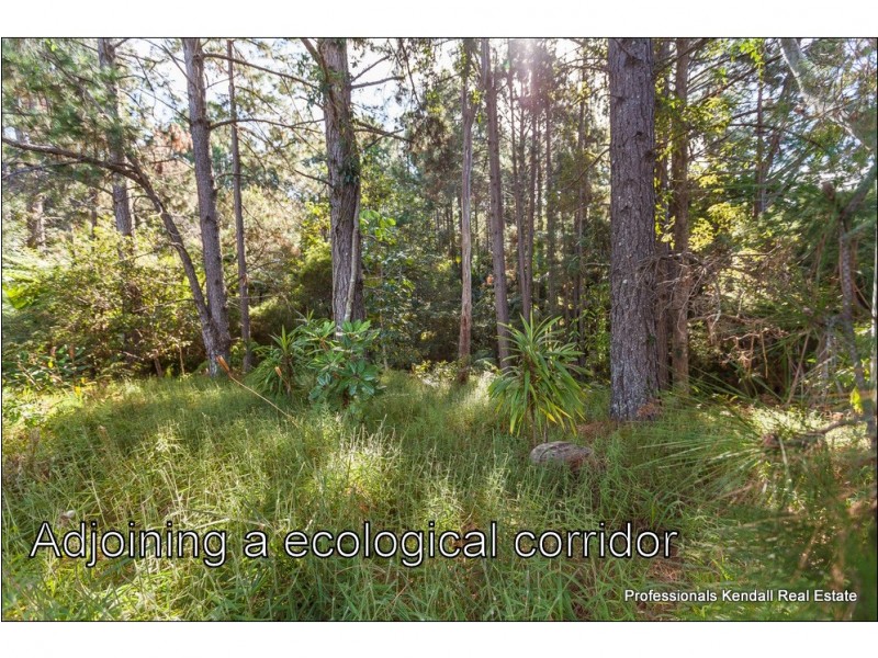 12 Demavend Drive, Tamborine Mountain QLD 4272