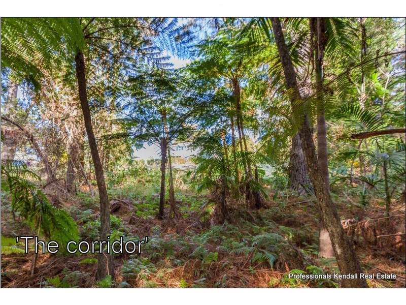 12 Demavend Drive, Tamborine Mountain QLD 4272