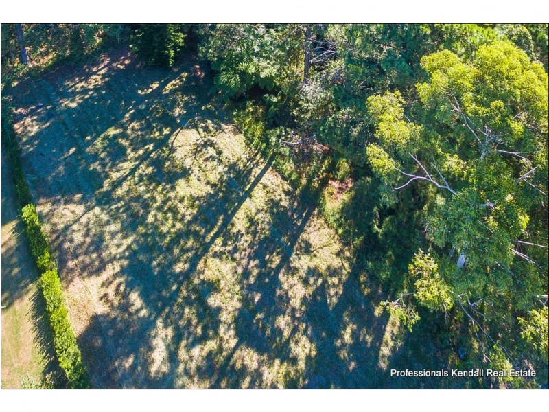 12 Demavend Drive, Tamborine Mountain QLD 4272