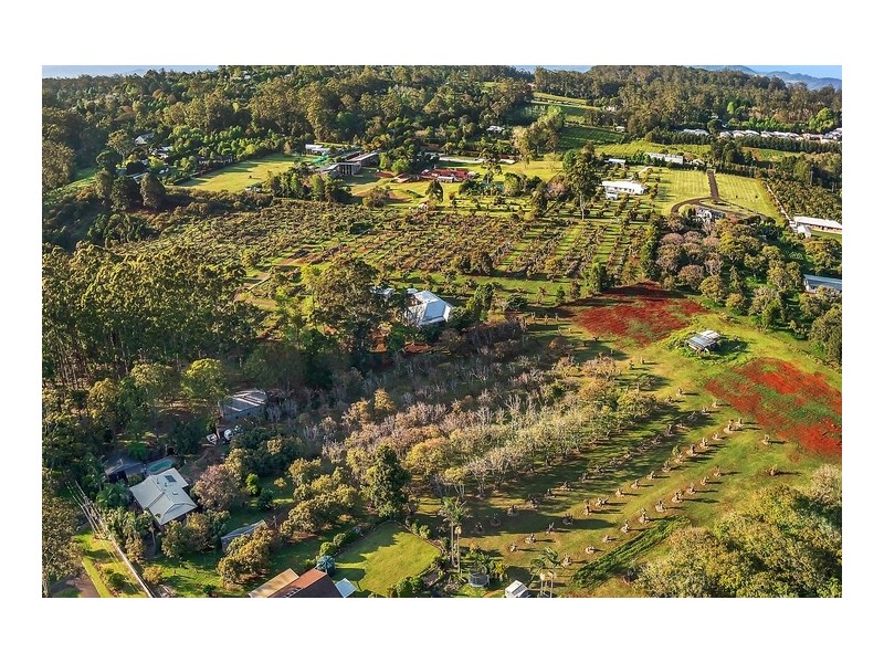 87 Main Western Road, Tamborine Mountain QLD 4272