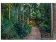 130 Licuala Drive, Tamborine Mountain QLD 4272