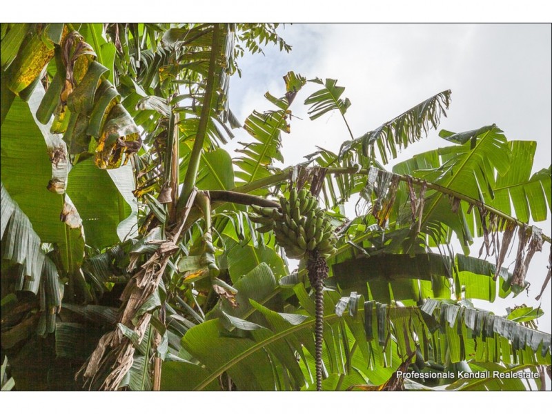 Lot 97 – 2-16 St Bernard Street, Tamborine Mountain QLD 4272