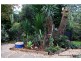 1-3 Mayon Court, Tamborine Mountain QLD 4272