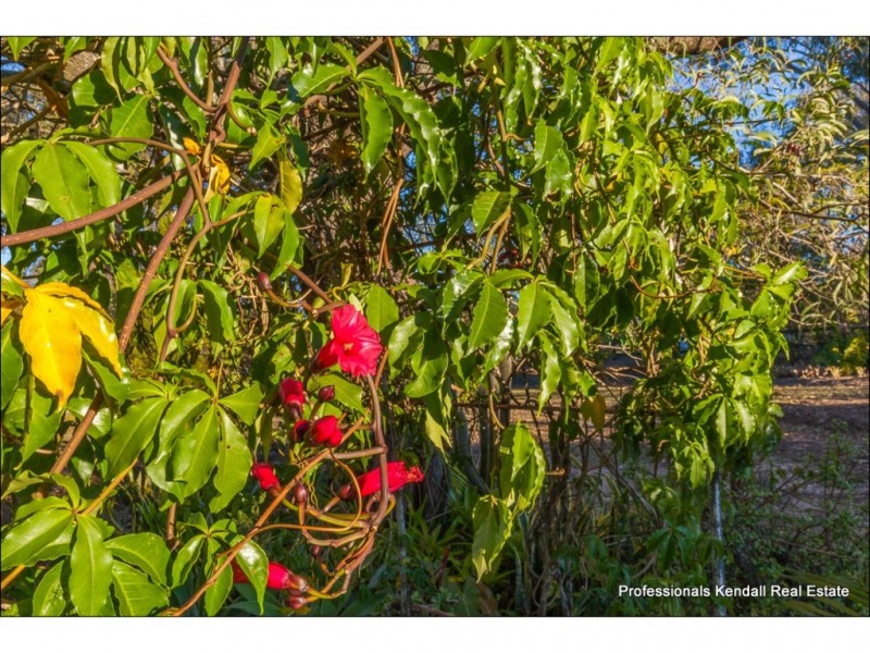21-27 Munstervale Road, Tamborine QLD 4270