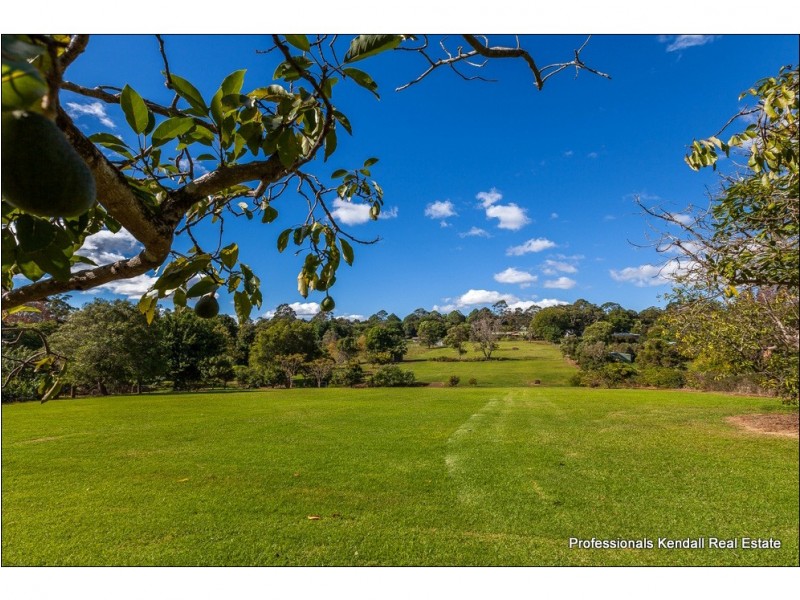 59 Benowa Street, Tamborine Mountain QLD 4272