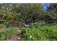 59 Benowa Street, Tamborine Mountain QLD 4272