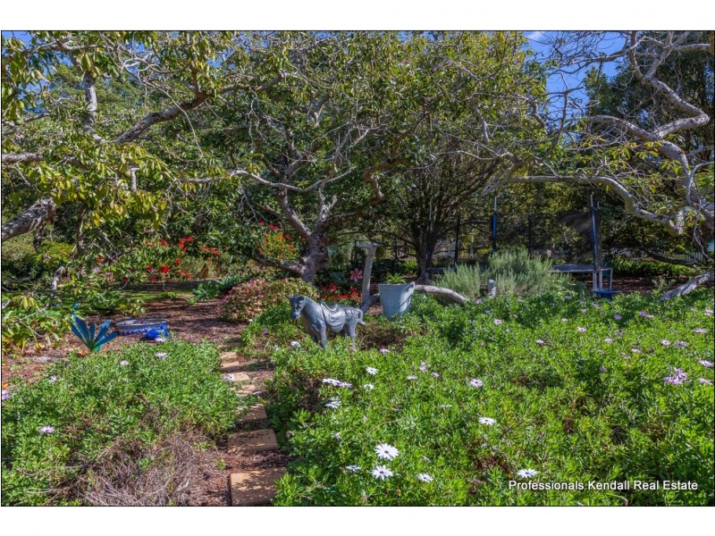 59 Benowa Street, Tamborine Mountain QLD 4272