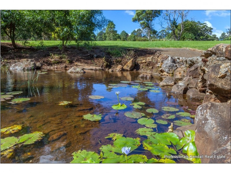 59 Benowa Street, Tamborine Mountain QLD 4272