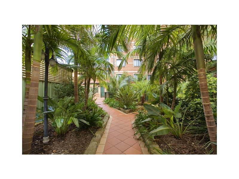 43/187 CLEVELAND STREET, Redfern NSW 2016