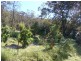 Cadgee NSW 2545