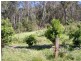 Cadgee NSW 2545