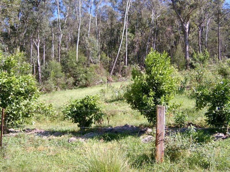 Cadgee NSW 2545