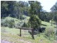 Cadgee NSW 2545