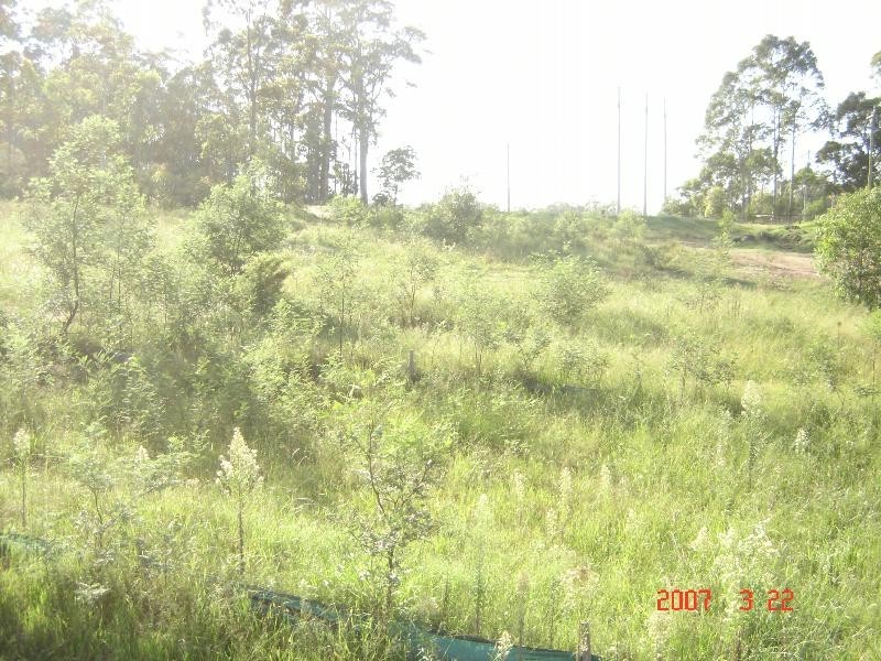 lot 41 Shelley Rd, Moruya NSW 2537