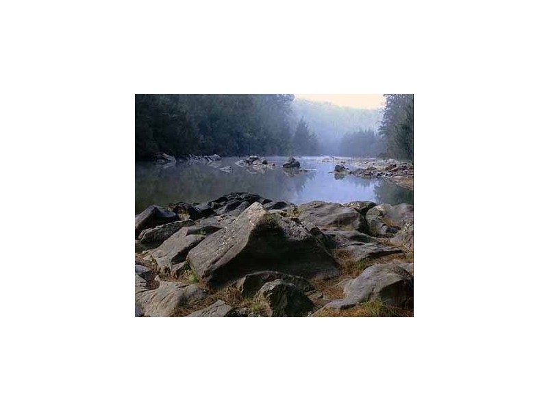 1998 Araluen Road, Deua River Valley NSW 2537