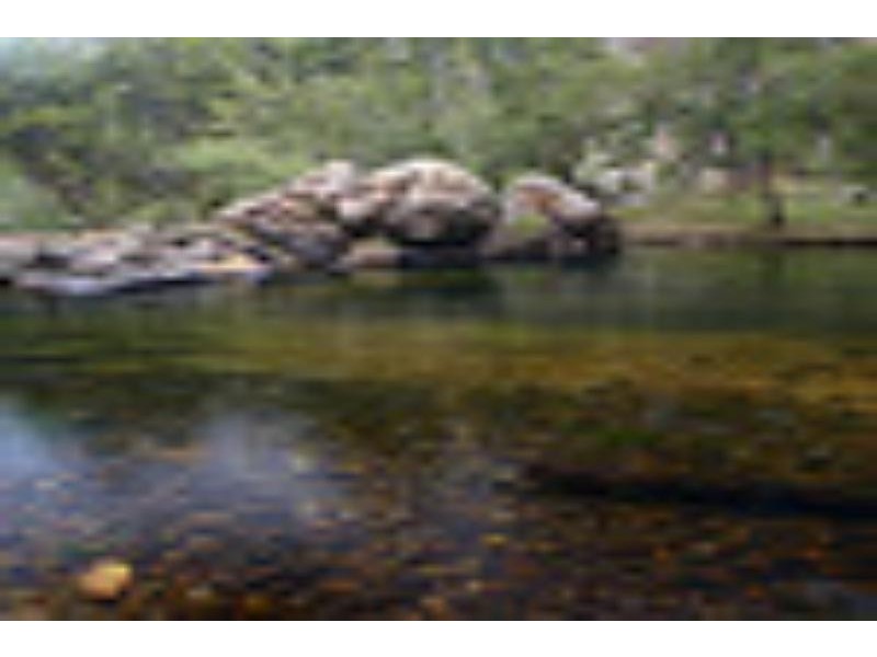 1998 Araluen Road, Deua River Valley NSW 2537