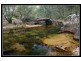1998 Araluen Road, Deua River Valley NSW 2537