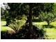 1998 Araluen Road, Deua River Valley NSW 2537