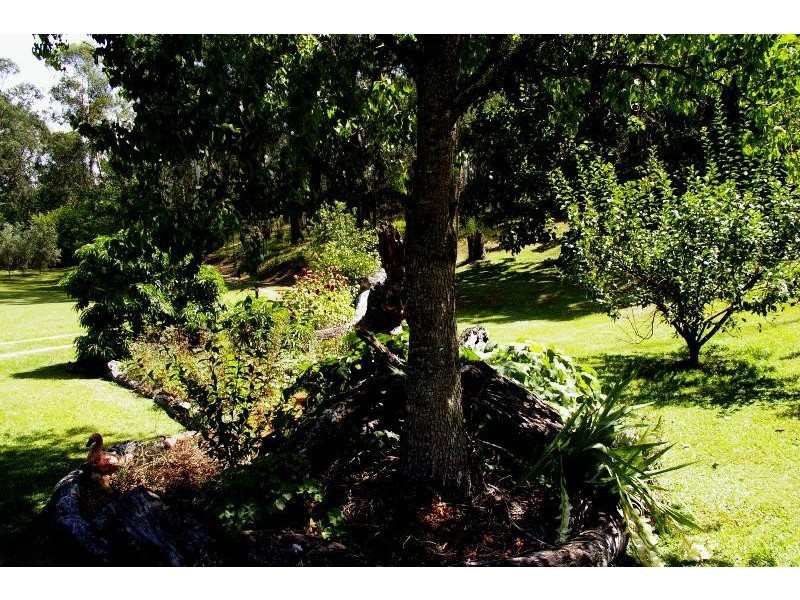 1998 Araluen Road, Deua River Valley NSW 2537