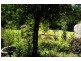 1998 Araluen Road, Deua River Valley NSW 2537
