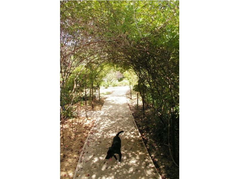 Lot 40 Princes Hwy, Brogo NSW 2550