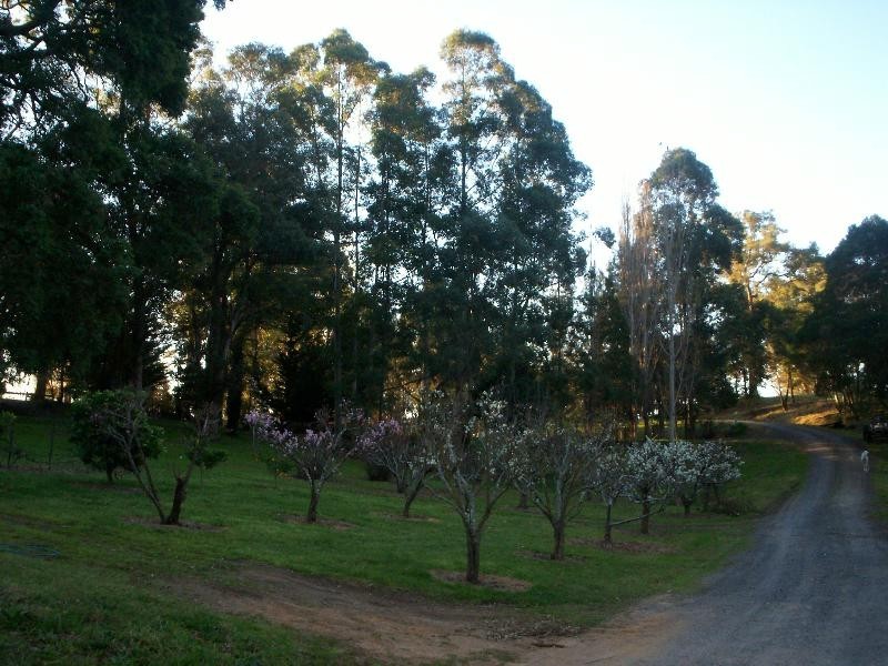 Lot 40 Princes Hwy, Brogo NSW 2550