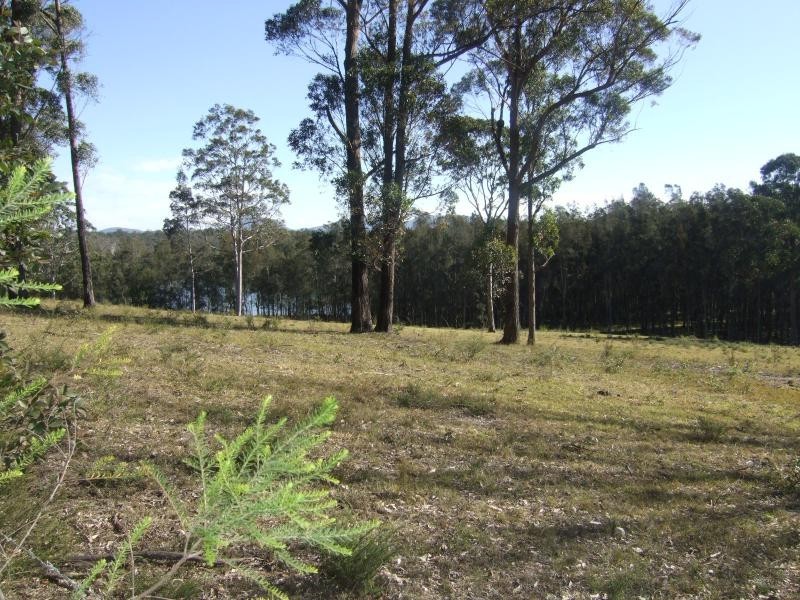 330 Tomakin Road, Mogo NSW 2536