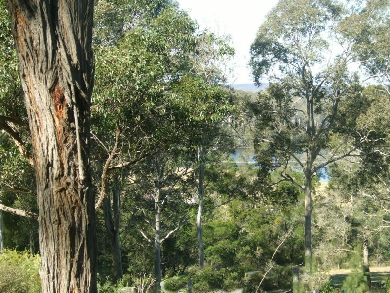 lot 1 / 77 Hawdons, Moruya NSW 2537