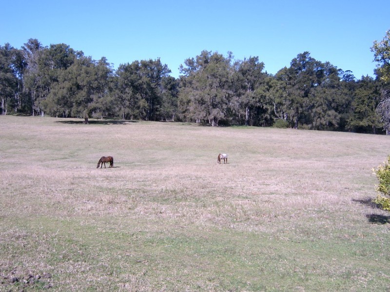 189 Hawdons Road, Mogendoura NSW 2537