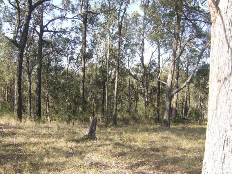 39 Moruya Reservoir Rd, Moruya NSW 2537