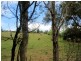 81 Wamban Road, Moruya NSW 2537