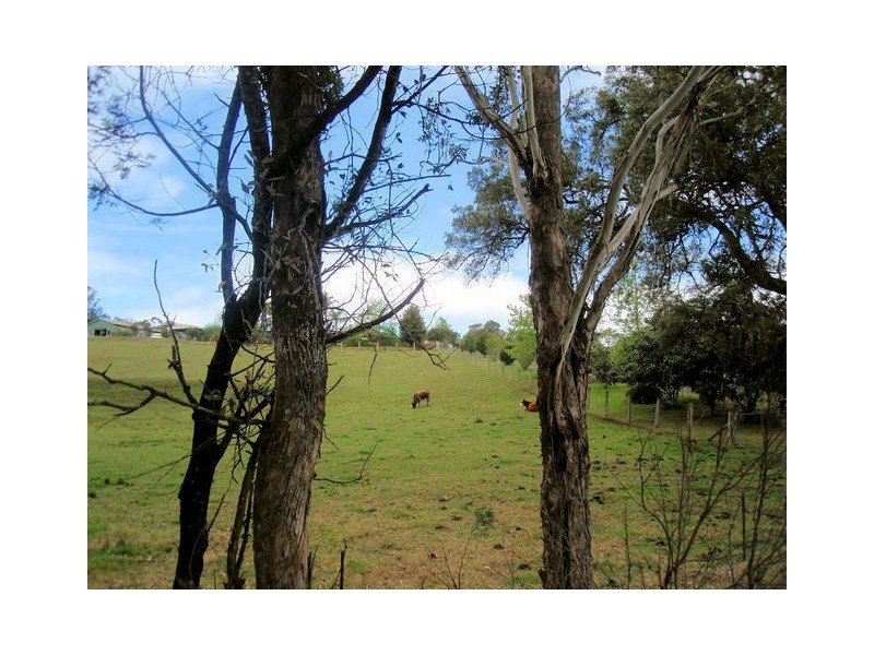81 Wamban Road, Moruya NSW 2537