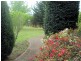 81 Wamban Road, Moruya NSW 2537
