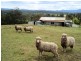 81 Wamban Road, Moruya NSW 2537